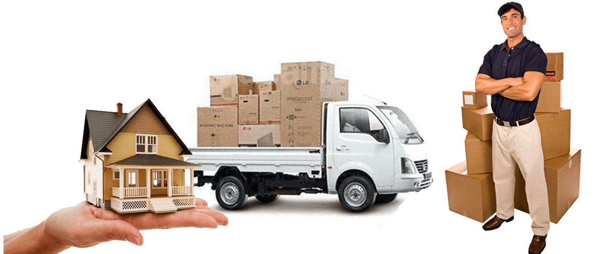 Kaneo Pro Movers team